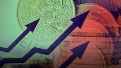 The Rise of the Euro: Who Benefits