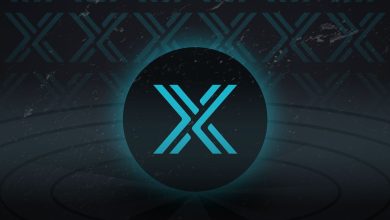 What is MultiversX Token and How Does it Work?