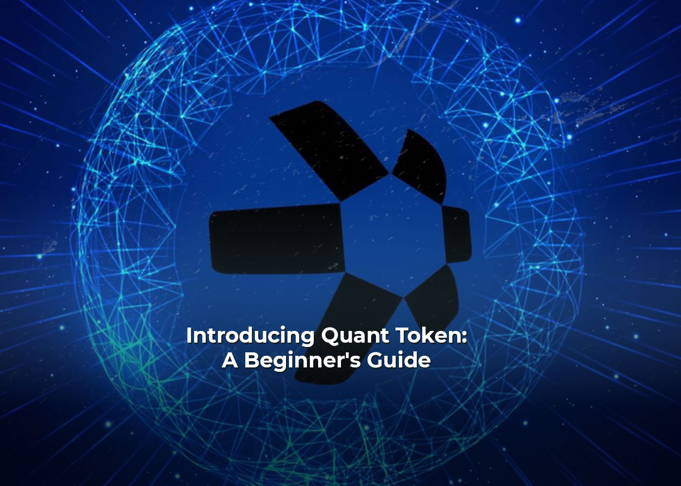 Introducing Quant Token: A Beginner's Guide