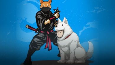 Shintama Price Predictions2