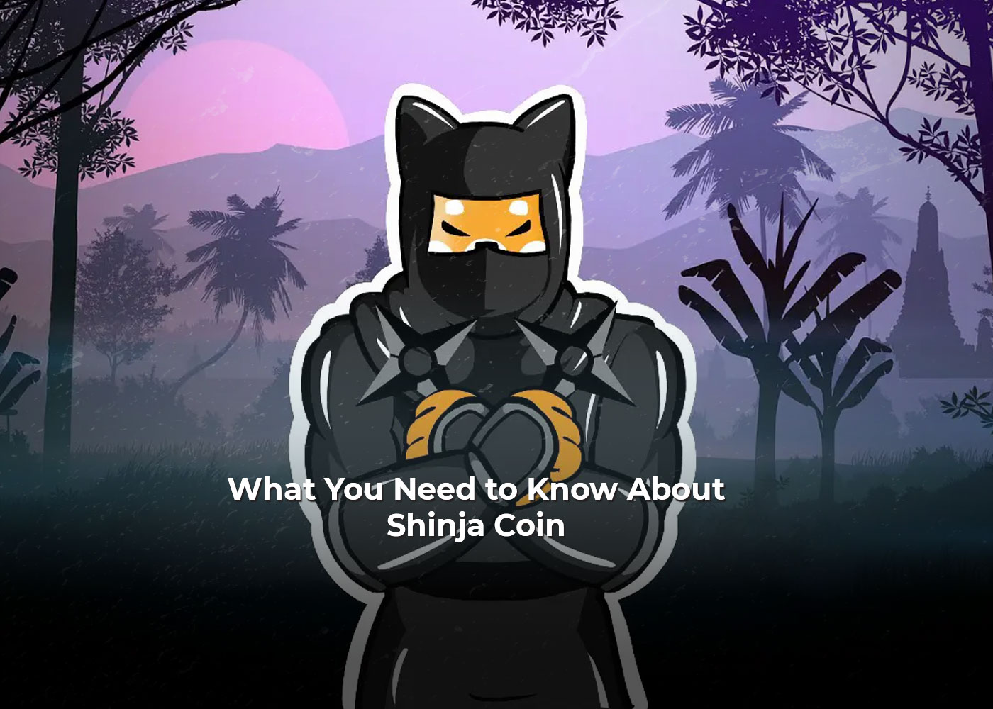 What You Need to Know About Shinja Coin