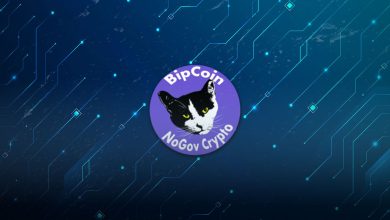 Bip Price Prediction
