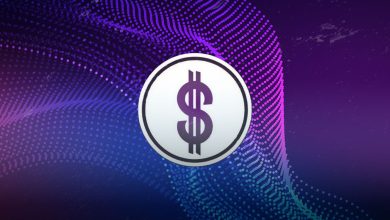 PKT Coin Price Prediction2