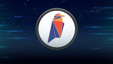 Introducing Ravencoin: A Blockchain-based Asset Transfer Network2