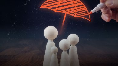 Why Survivorship Life Insurance is Crucial for Your Estate Planning