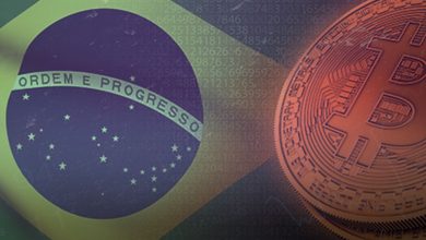 Brazilian Central Bank Announces Participants for CBDC Pilot Project
