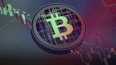 The Central Bank Of Ireland's Governor States That Cryptocurrencies Are Ponzi Schemes2
