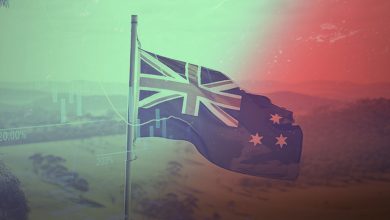 Understanding Portfolio Investment Entity Funds: A Guide to New Zealand's Tax-Efficient Investments