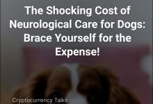 dog neurologist cost without insurance